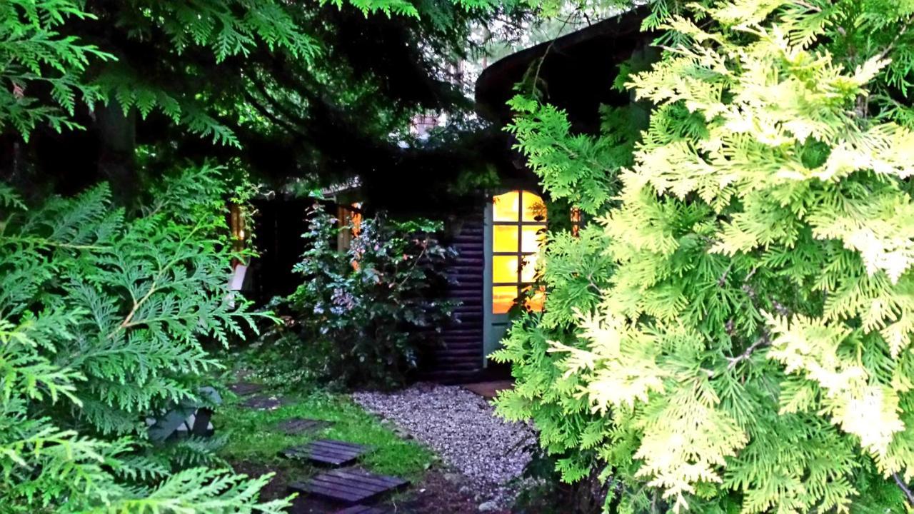 Domek Letniskowy Na Kaszubach Lub Apartament Z Kominkiem Пуцк Екстериор снимка