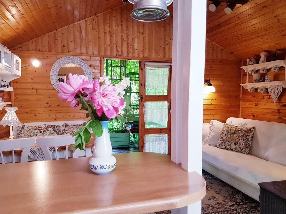 Domek Letniskowy Na Kaszubach Lub Apartament Z Kominkiem Пуцк Екстериор снимка